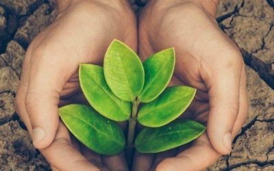 THƯ MỜI CÁC NHÀ CUNG CẤP SỐ 170 – CUNG CẤP DỊCH VỤ ĐĂNG KÝ MÔI TRƯỜNG 2025