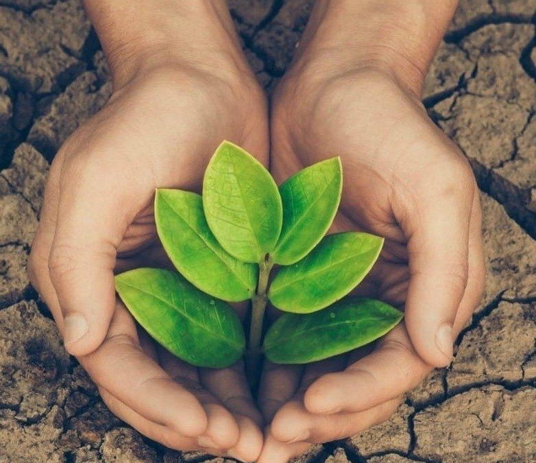 THƯ MỜI CÁC NHÀ CUNG CẤP SỐ 170 – CUNG CẤP DỊCH VỤ ĐĂNG KÝ MÔI TRƯỜNG 2025